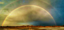 Load image into Gallery viewer, 2024-2025 Evenings in Dunedin Calendar