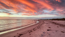 Load image into Gallery viewer, 2024-2025 Evenings in Dunedin Calendar