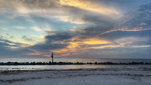 Load image into Gallery viewer, 2024-2025 Evenings in Dunedin Calendar