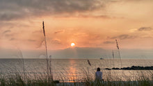 Load image into Gallery viewer, 2024-2025 Evenings in Dunedin Calendar
