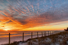 Load image into Gallery viewer, 2024-2025 Evenings in Dunedin Calendar