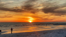 Load image into Gallery viewer, 2024 Evenings in Dunedin Coffee Table Book