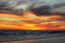 Load image into Gallery viewer, 2024 Evenings in Dunedin Coffee Table Book