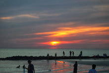 Load image into Gallery viewer, 2024 Evenings in Dunedin Coffee Table Book