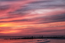 Load image into Gallery viewer, 2024 Evenings in Dunedin Coffee Table Book
