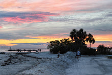 Load image into Gallery viewer, 2025 Evenings in Dunedin