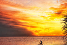 Load image into Gallery viewer, 2025 Evenings in Dunedin