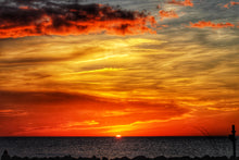 Load image into Gallery viewer, 2024-2025 Evenings in Dunedin Calendar