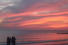 Load image into Gallery viewer, 2024 Evenings in Dunedin Coffee Table Book