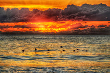 Load image into Gallery viewer, Planet Rodanthe: Lockdown