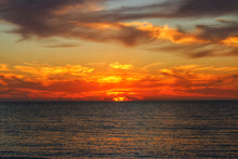 Load image into Gallery viewer, 2025 Evenings in Dunedin