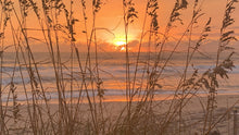Load image into Gallery viewer, Planet Rodanthe: Lockdown
