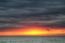 Load image into Gallery viewer, 2024 Planet Rodanthe