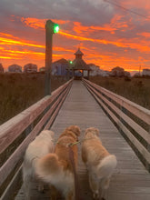 Load image into Gallery viewer, Sound Side Golden Retrievers Calendar