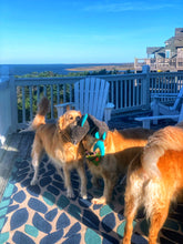 Load image into Gallery viewer, Sound Side Golden Retrievers Calendar