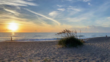 Load image into Gallery viewer, Planet Rodanthe: Lockdown