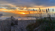 Load image into Gallery viewer, Planet Rodanthe: Lockdown